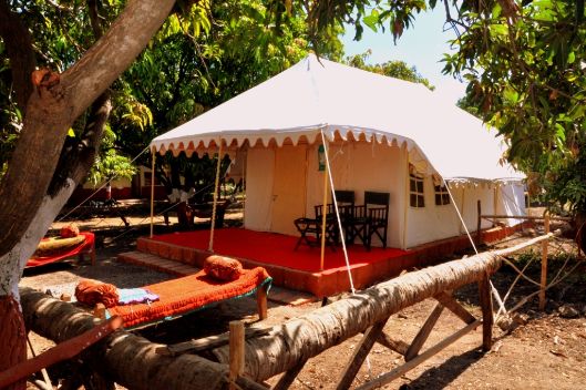 Gir Pride Resort-3